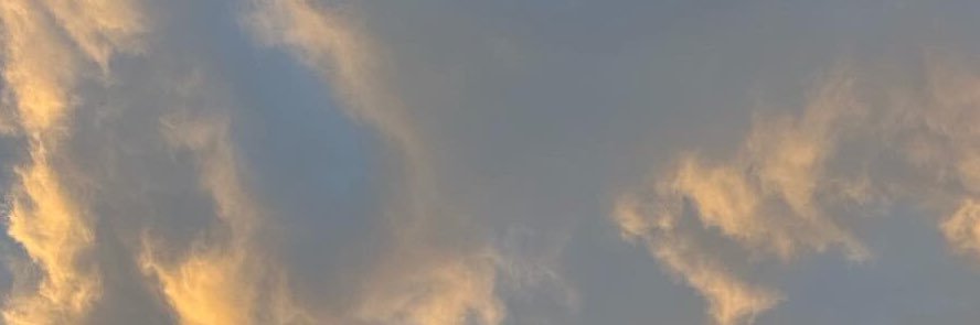 uma_acharya's profile banner image