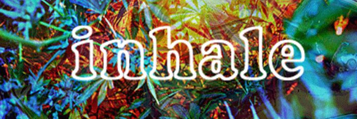 Bribeibeniba's profile banner image