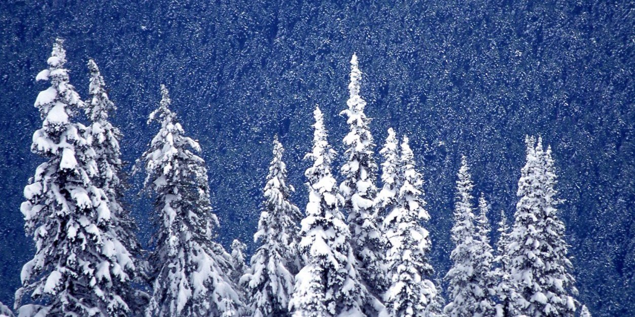 powbabe's profile banner image