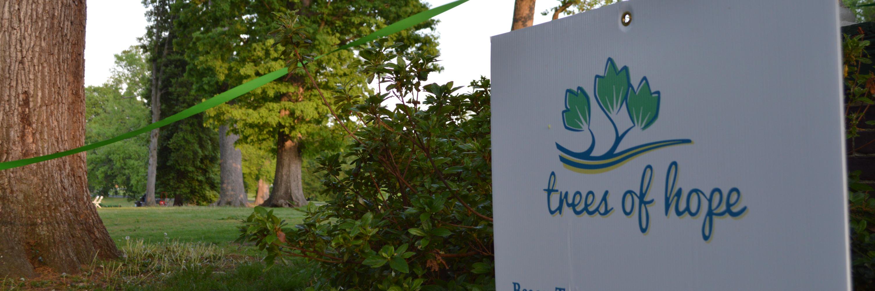 Beacon_Tree's profile banner image