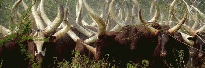 GuyBash's profile banner image