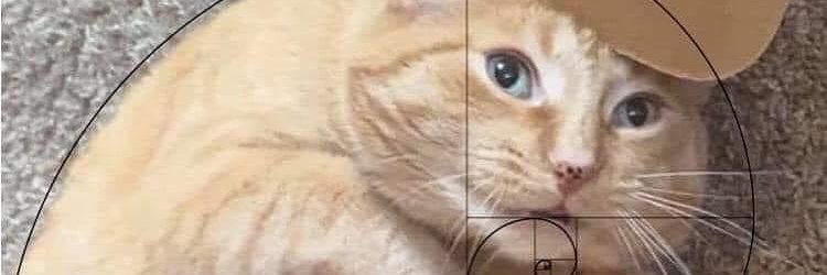 Dyohenes's profile banner image