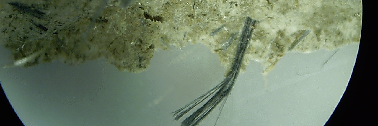 AsbestosAudits's profile banner image
