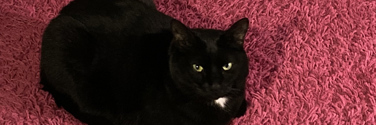 brownbint's profile banner image