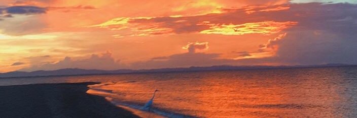 sofia_avellan's profile banner image