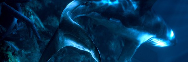 CruzCafune Profile Banner