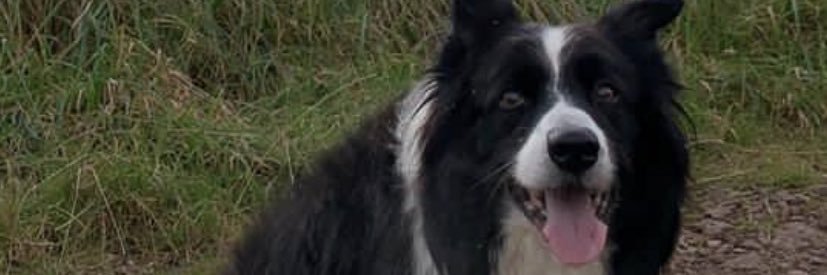 PDT 🏴󠁧󠁢󠁳󠁣󠁴󠁿🏴󠁧󠁢󠁳󠁣󠁴󠁿 banner