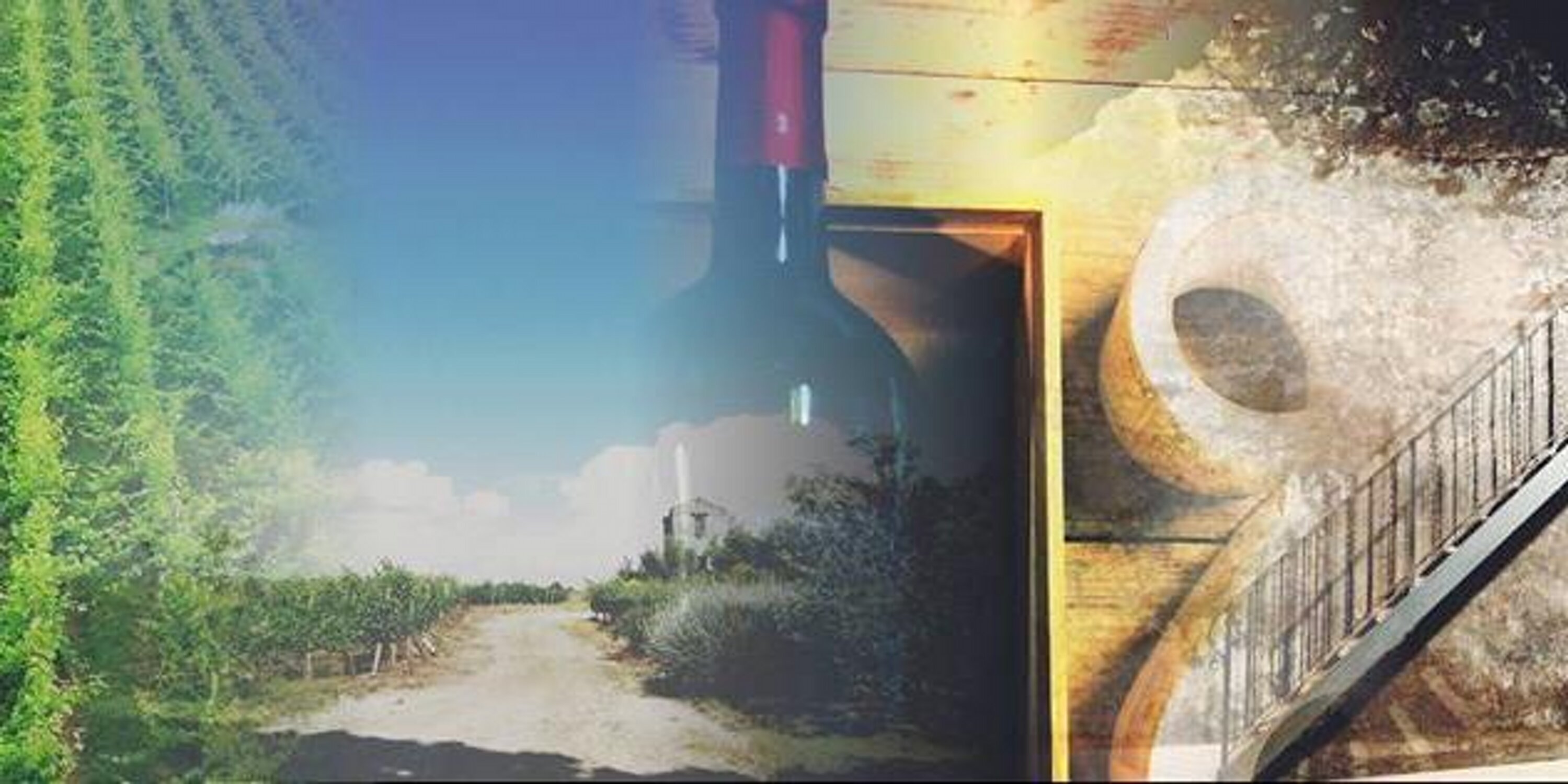 CastelDePaolis's profile banner image