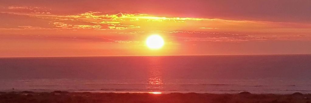 Rietie Venter banner