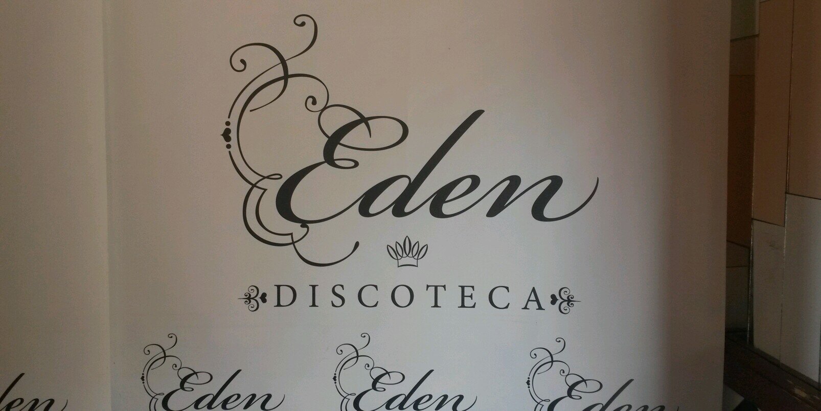 saladiscoeden's profile banner image