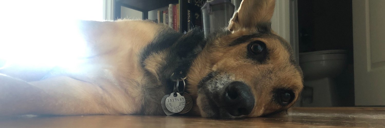 Armand Emamdjomeh banner