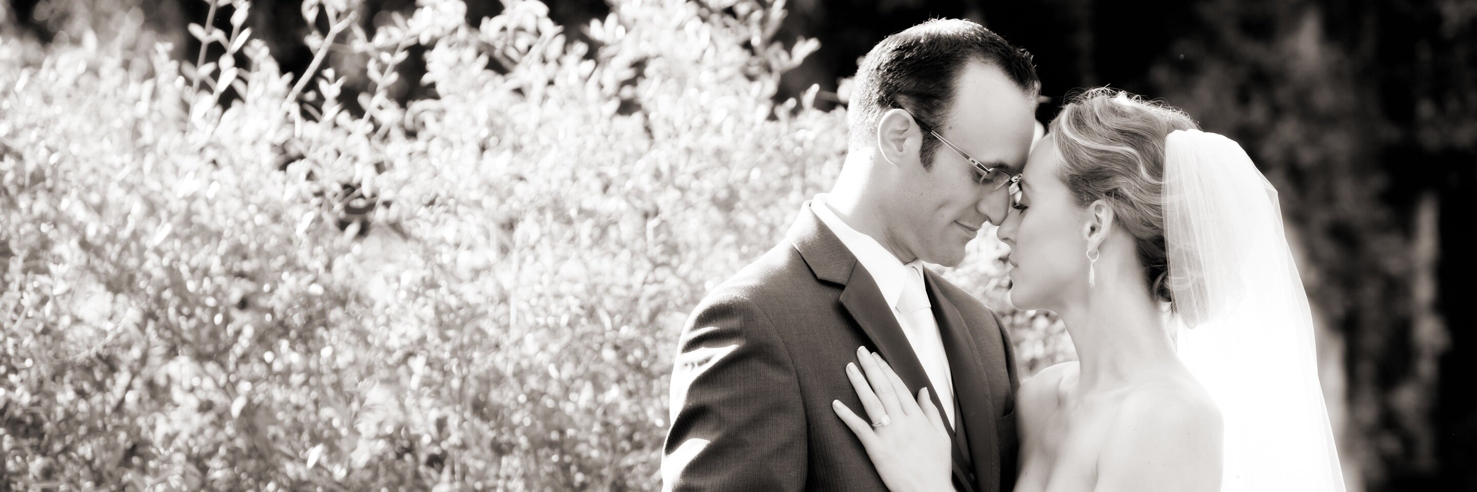 Louisa_Gray's profile banner image