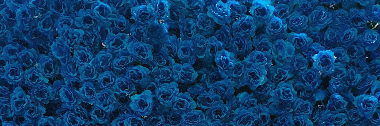 pandyduu's profile banner image
