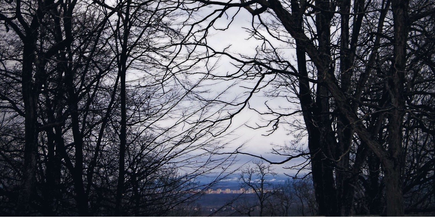 Ave_Adam's profile banner image