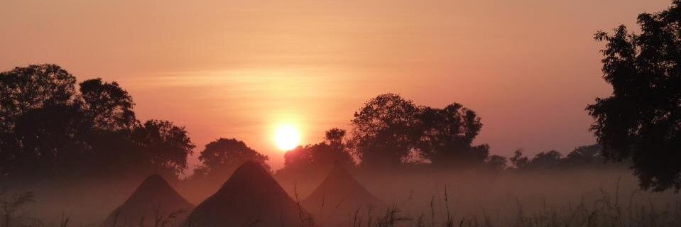 Kate Brankin 🇸🇸 🇸🇩 banner