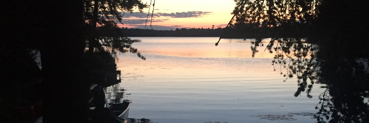 SamDeeLewens's profile banner image