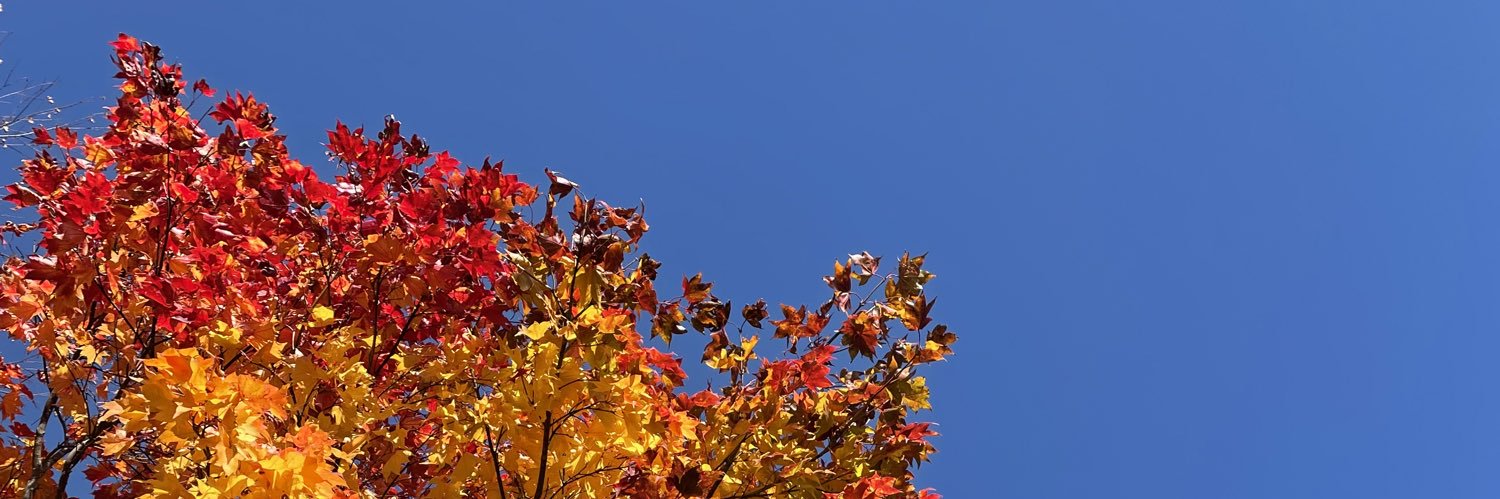 ryoftb810's profile banner image