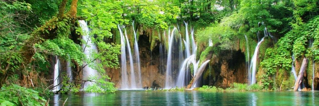 Fryalt 🇵🇹 banner