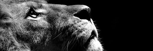 mixtle72's profile banner image