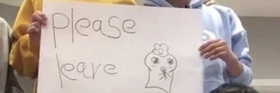 allyquerler's profile banner image