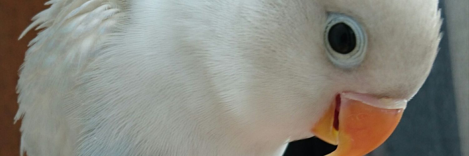 yuupyonn2000's profile banner image