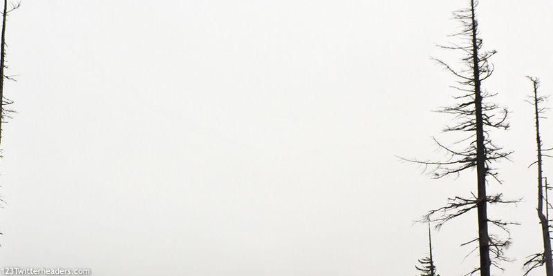 MarcellinoAcell's profile banner image