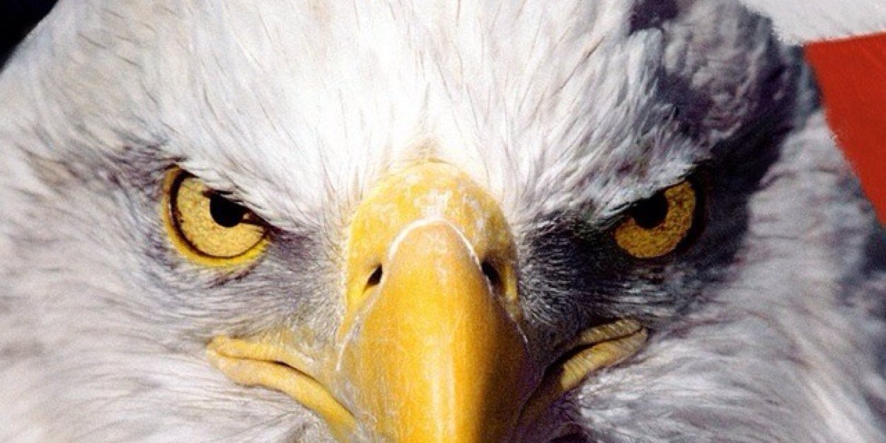 rthawk45171's profile banner image