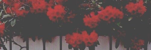 AFTER SLEEPING banner