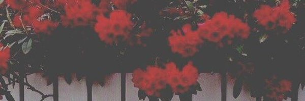 AfterSleeping Profile Banner