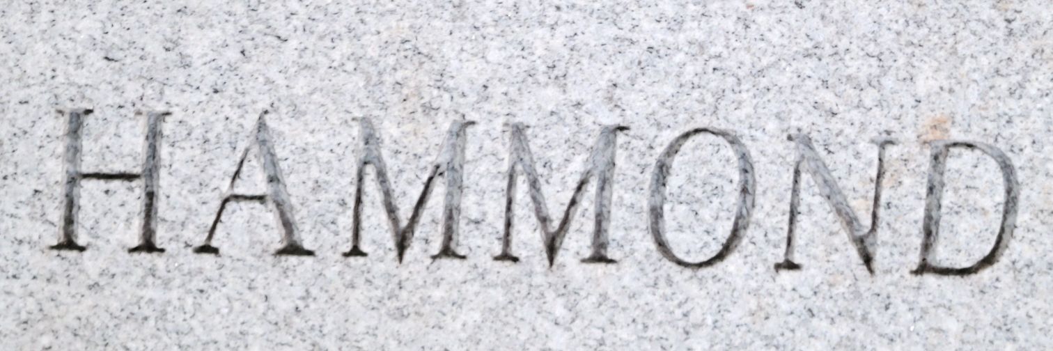 Tom Novak banner