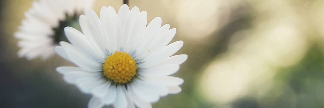 kelebogilemath3's profile banner image