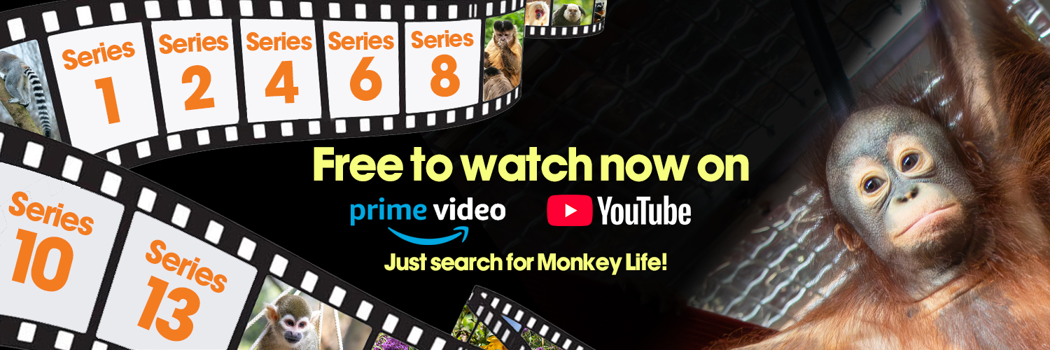 Primate_Planet's profile banner image