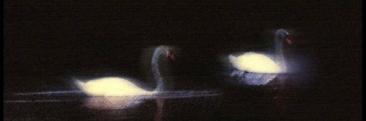 ___3xdlr's profile banner image