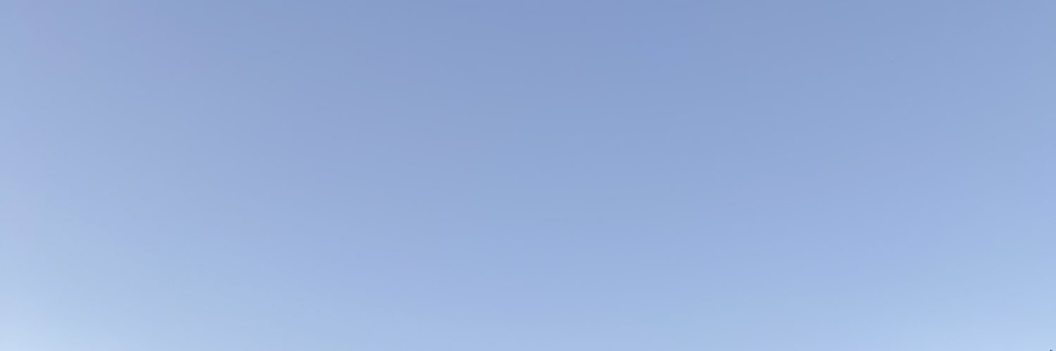 laufreitass's profile banner image