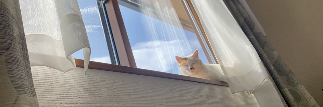 _____chiro_____'s profile banner image