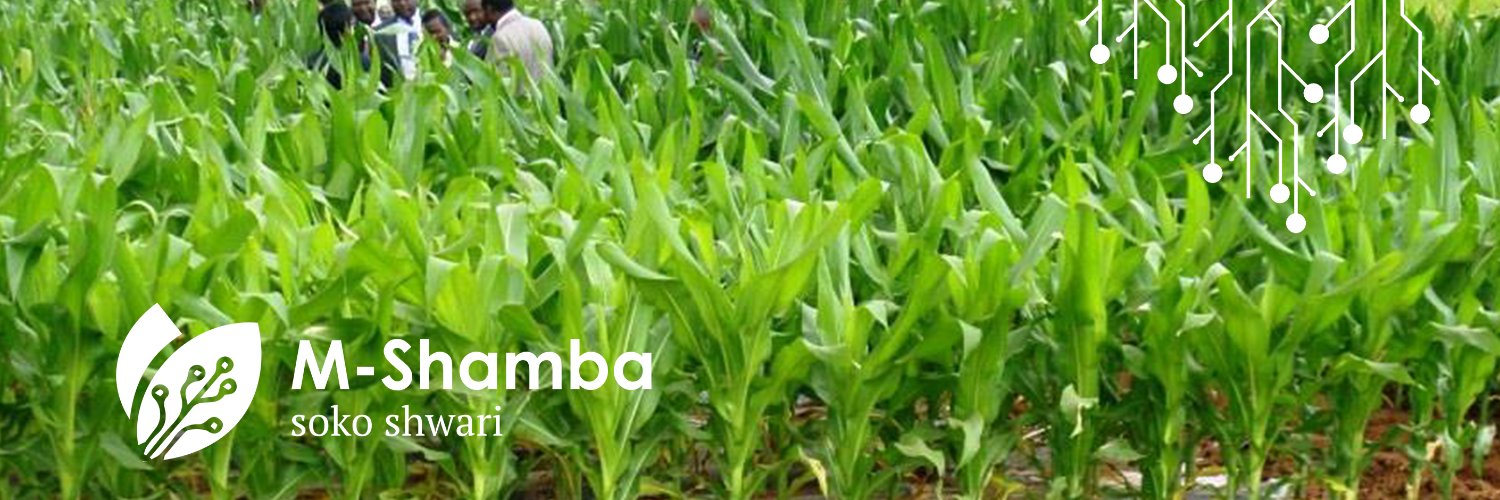 M-shamba App banner