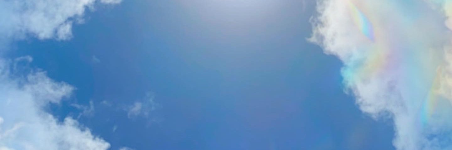 flaviaggabriel's profile banner image