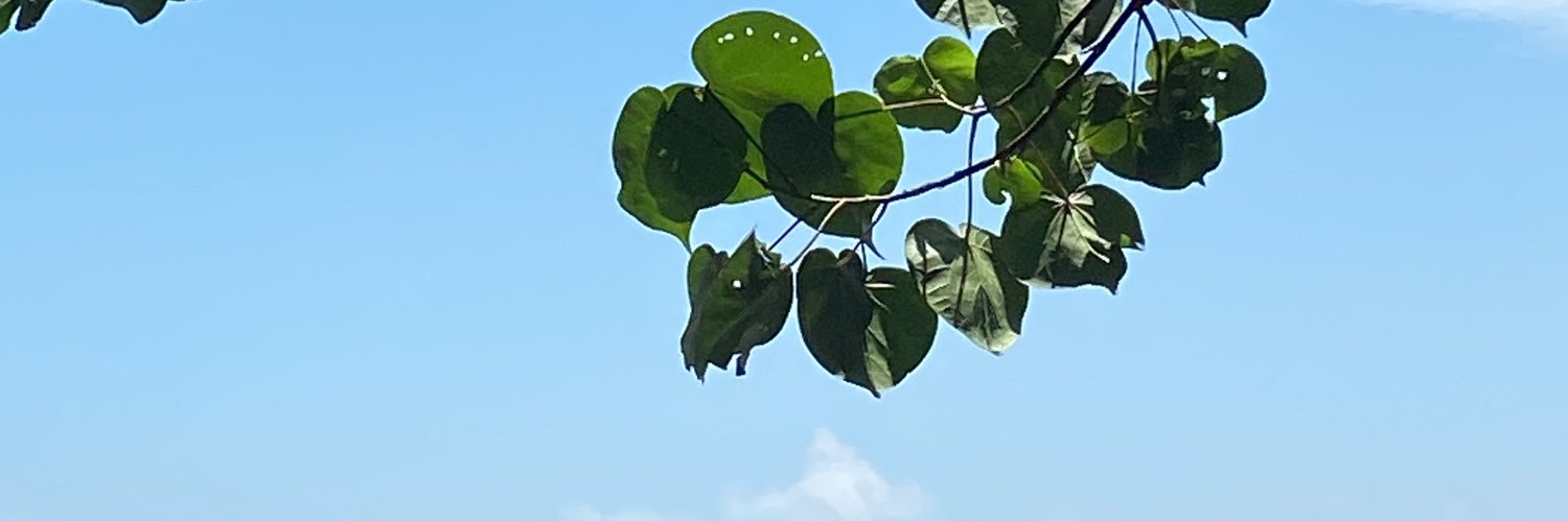langitorens's profile banner image