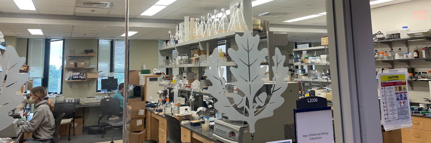 Molecular Biology and Biophysics at UConn Health banner