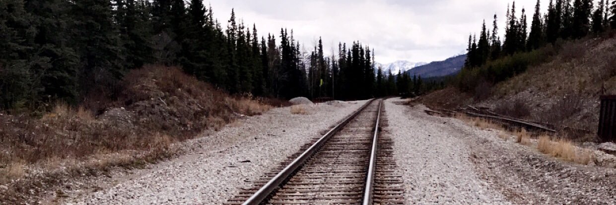 chelschance's profile banner image