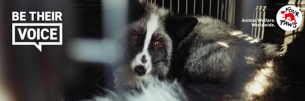 FOURPAWSUK Profile Banner