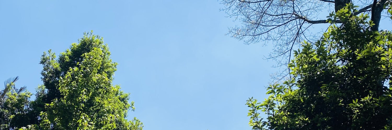 andreshve's profile banner image