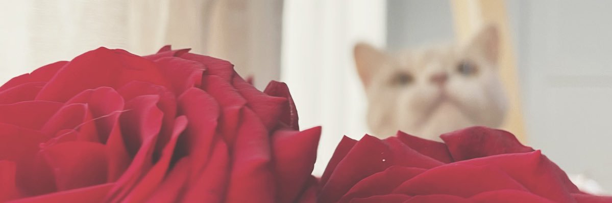 Woumii's profile banner image