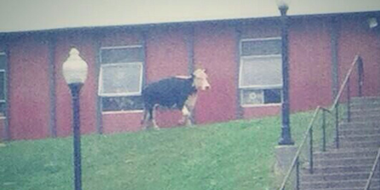 WaynesburgProbs's profile banner image