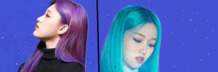 isansmushroom's profile banner image