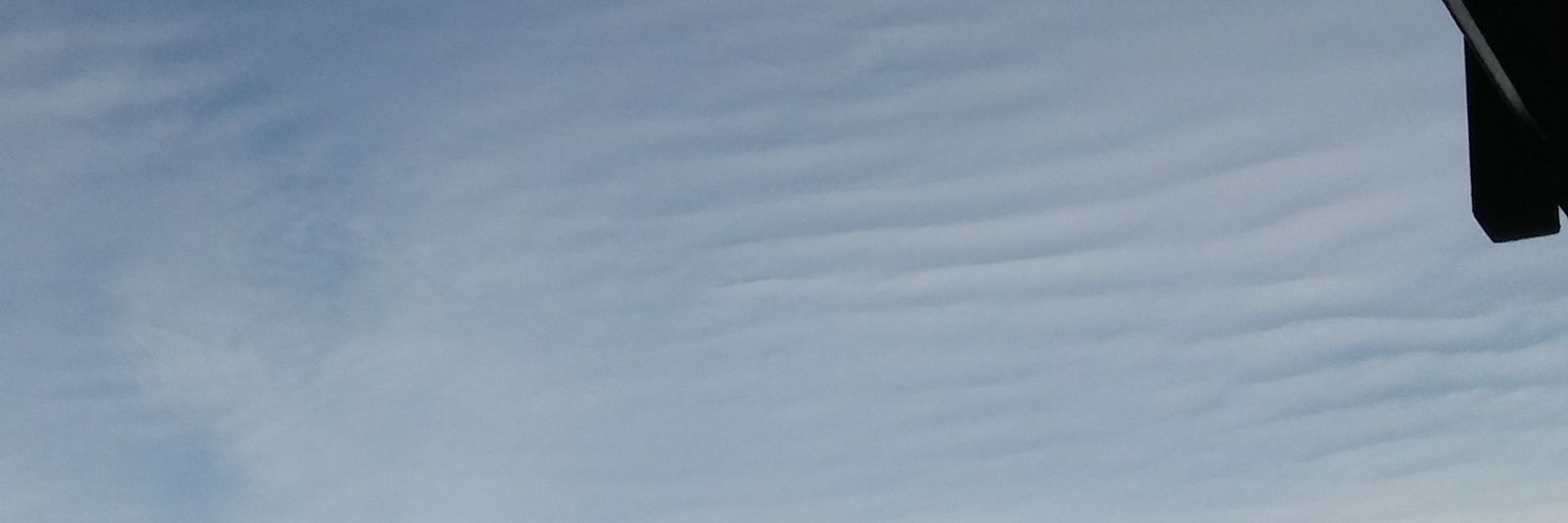 lduran67's profile banner image