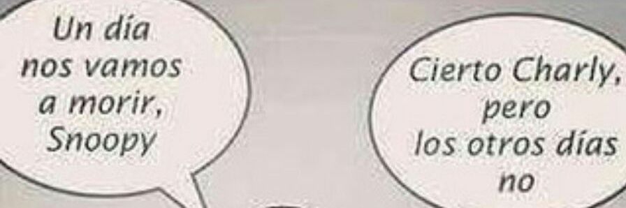 Sònia de Jaime banner