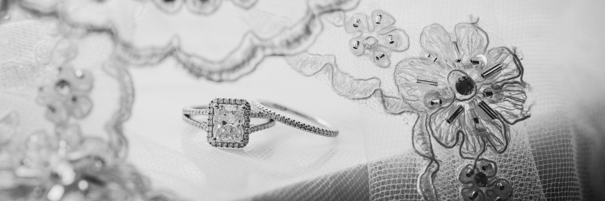 adalizdesantis's profile banner image