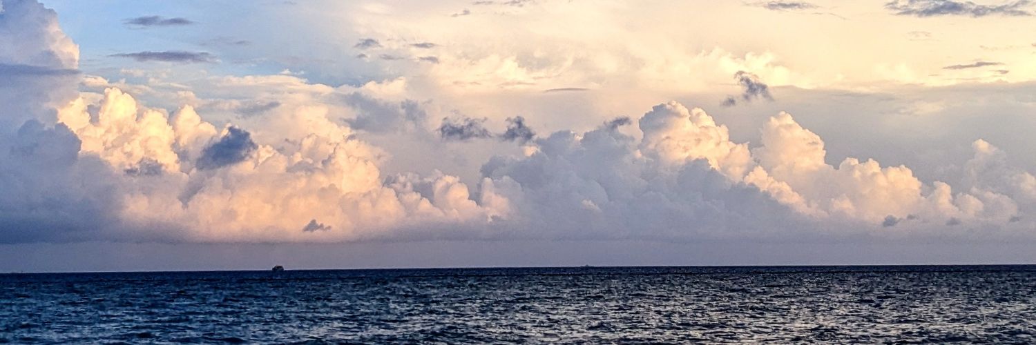 Pierre_Alvarez's profile banner image