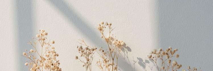 1fa_q's profile banner image